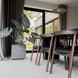 Moderne eetkamer met houten stoelen en grote plant, op een strakke beton ciré gietvloer.